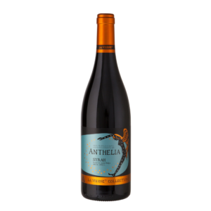 La Vierge Anthelia Shiraz